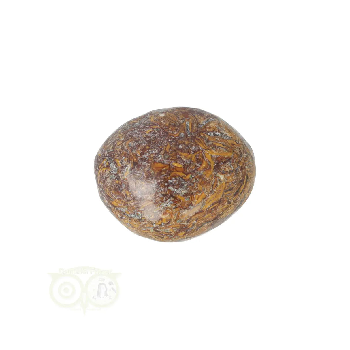 Coquina Jasper tumbled stone No. 17