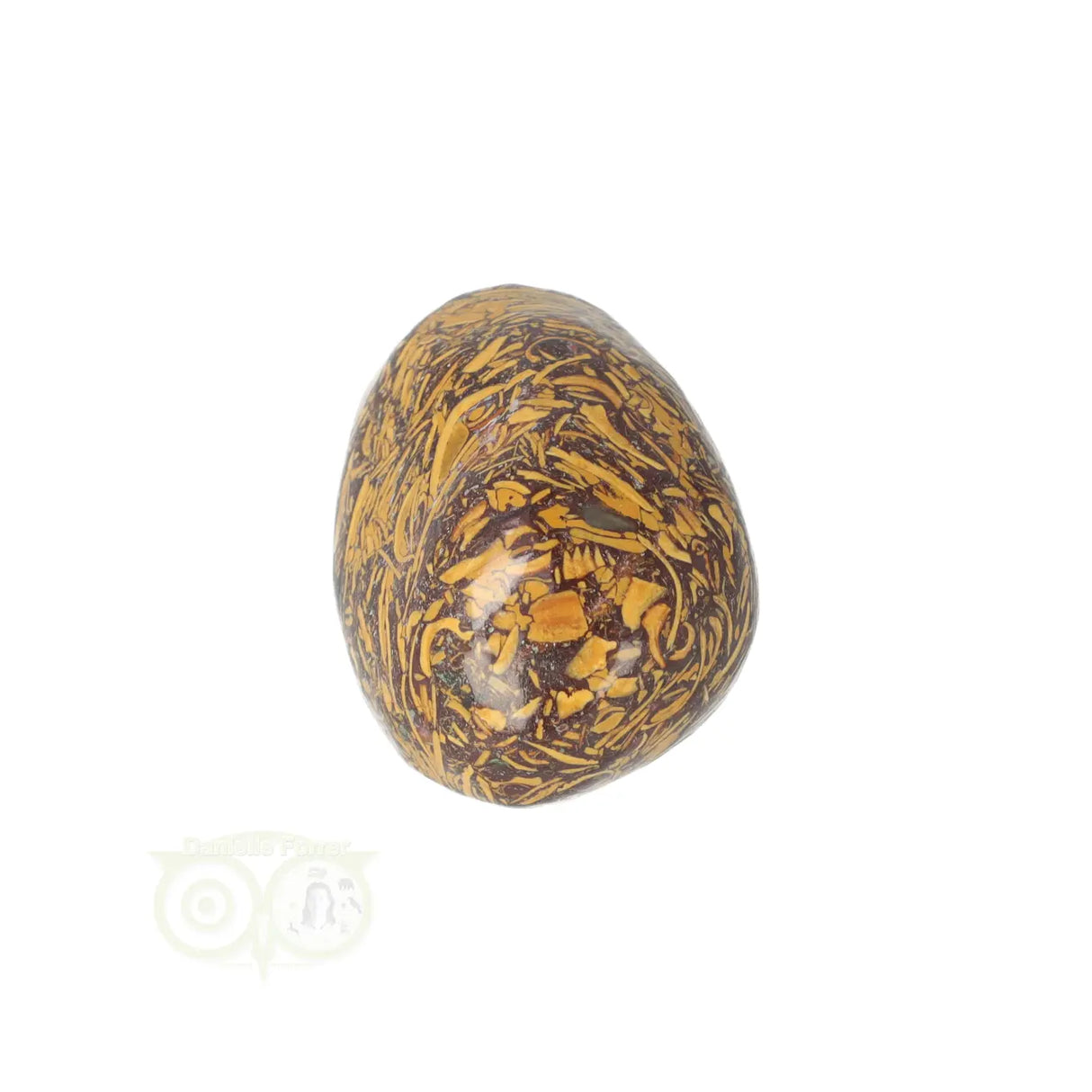 Coquina Jasper tumbled stone No. 15