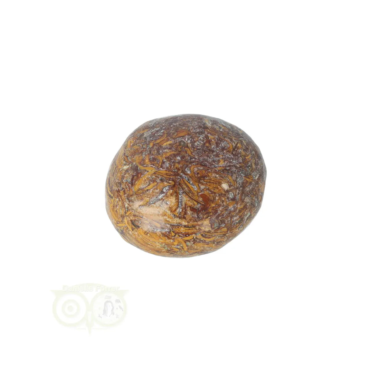 Coquina Jasper tumbled stone No. 17