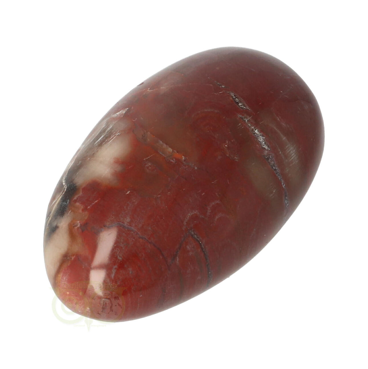 Versteend hout handsteen nr. 8 - 79 gram | Edelsteen