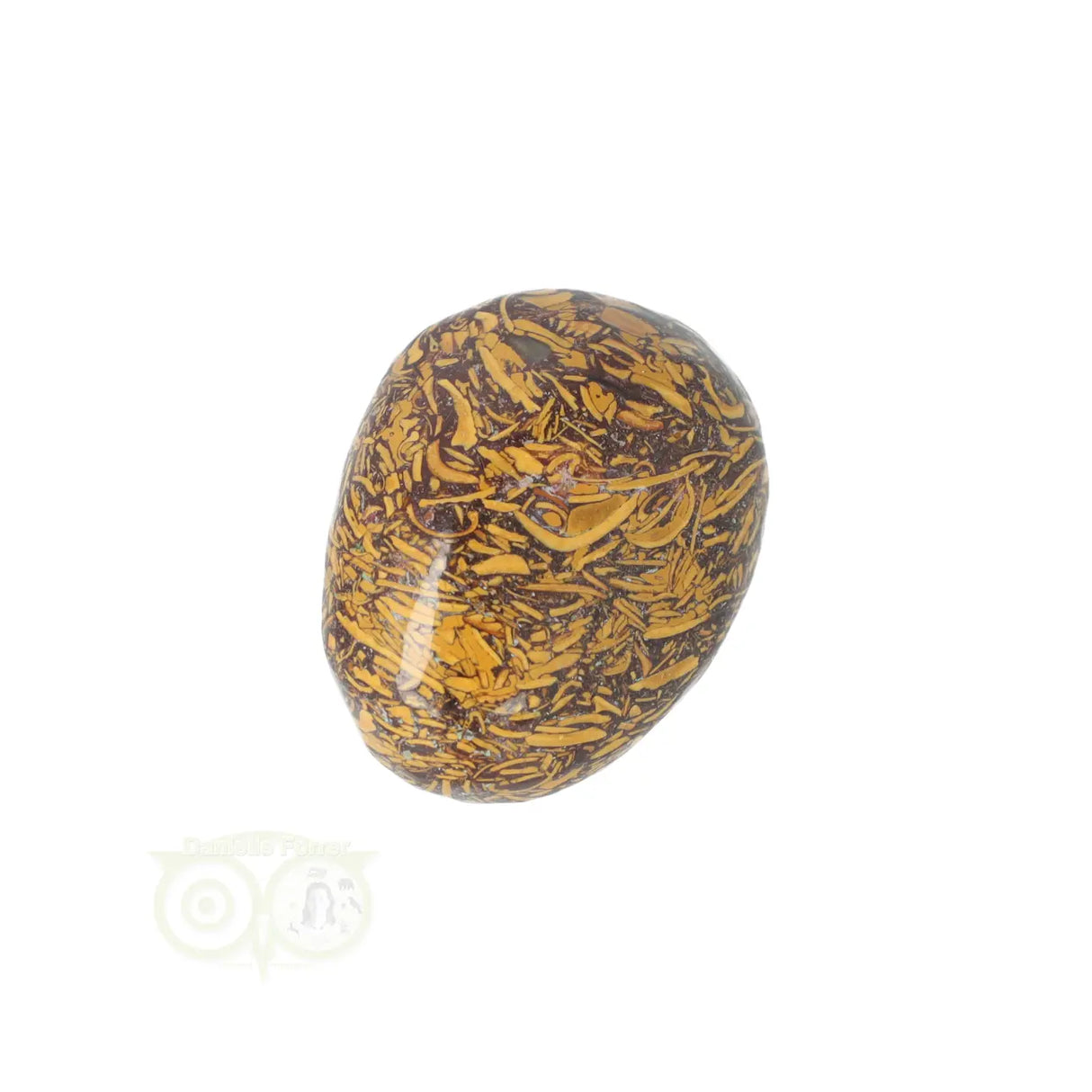 Coquina Jasper tumbled stone No. 15
