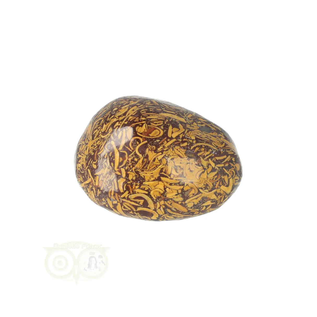 Coquina Jasper tumbled stone No. 15