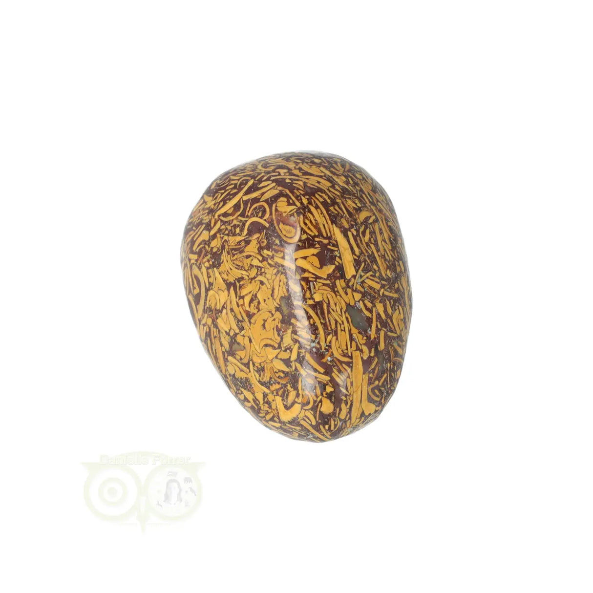 Coquina Jasper tumbled stone No. 15
