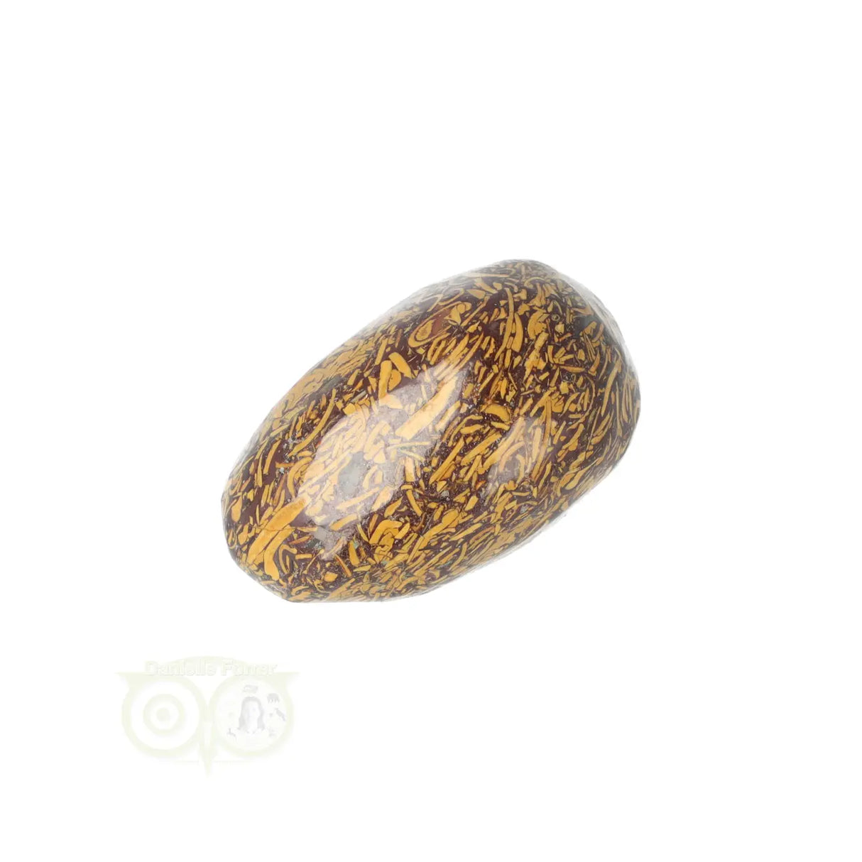 Coquina Jasper tumbled stone No. 15