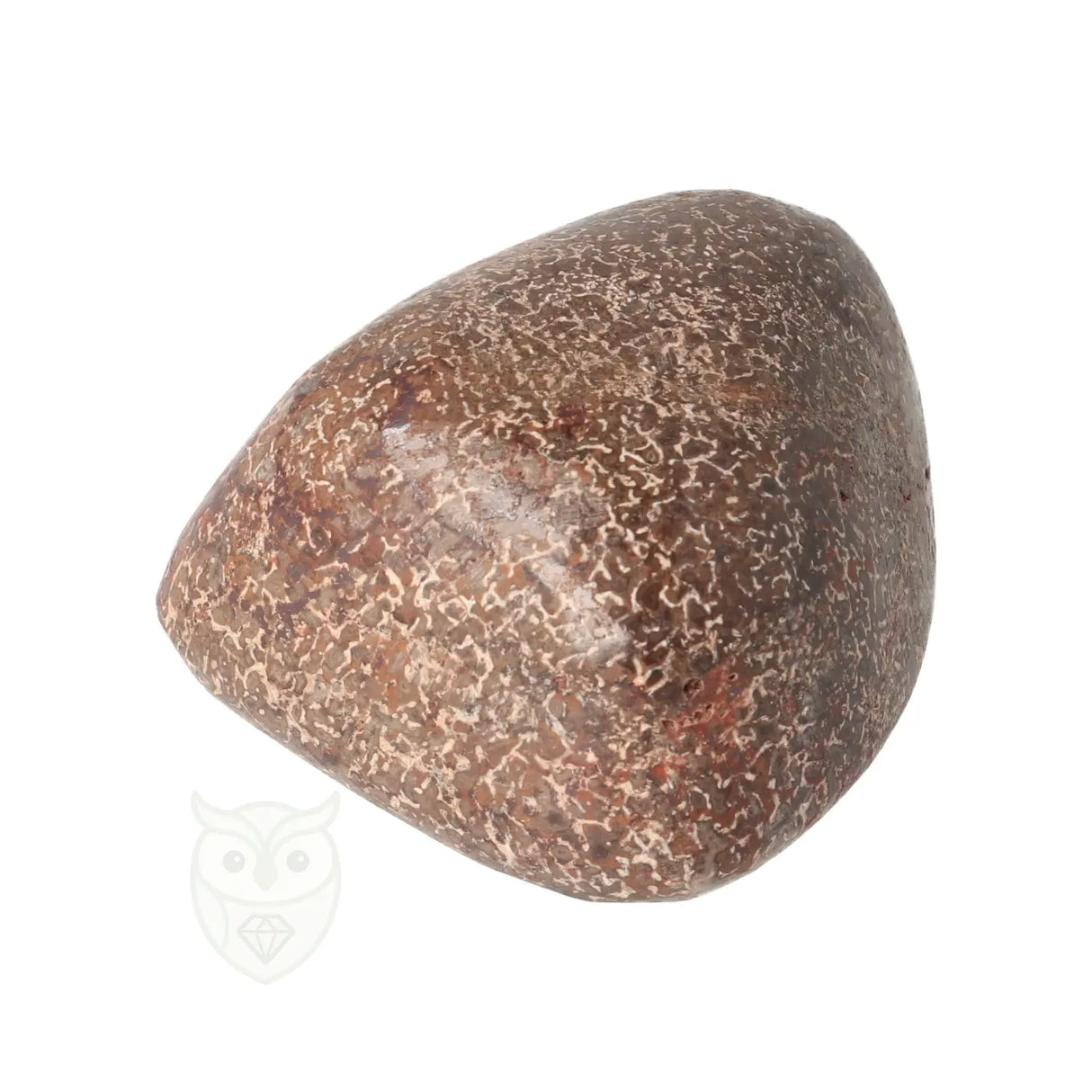 Atlasaurus bot Nr 8 - 137 gram | Fossielen