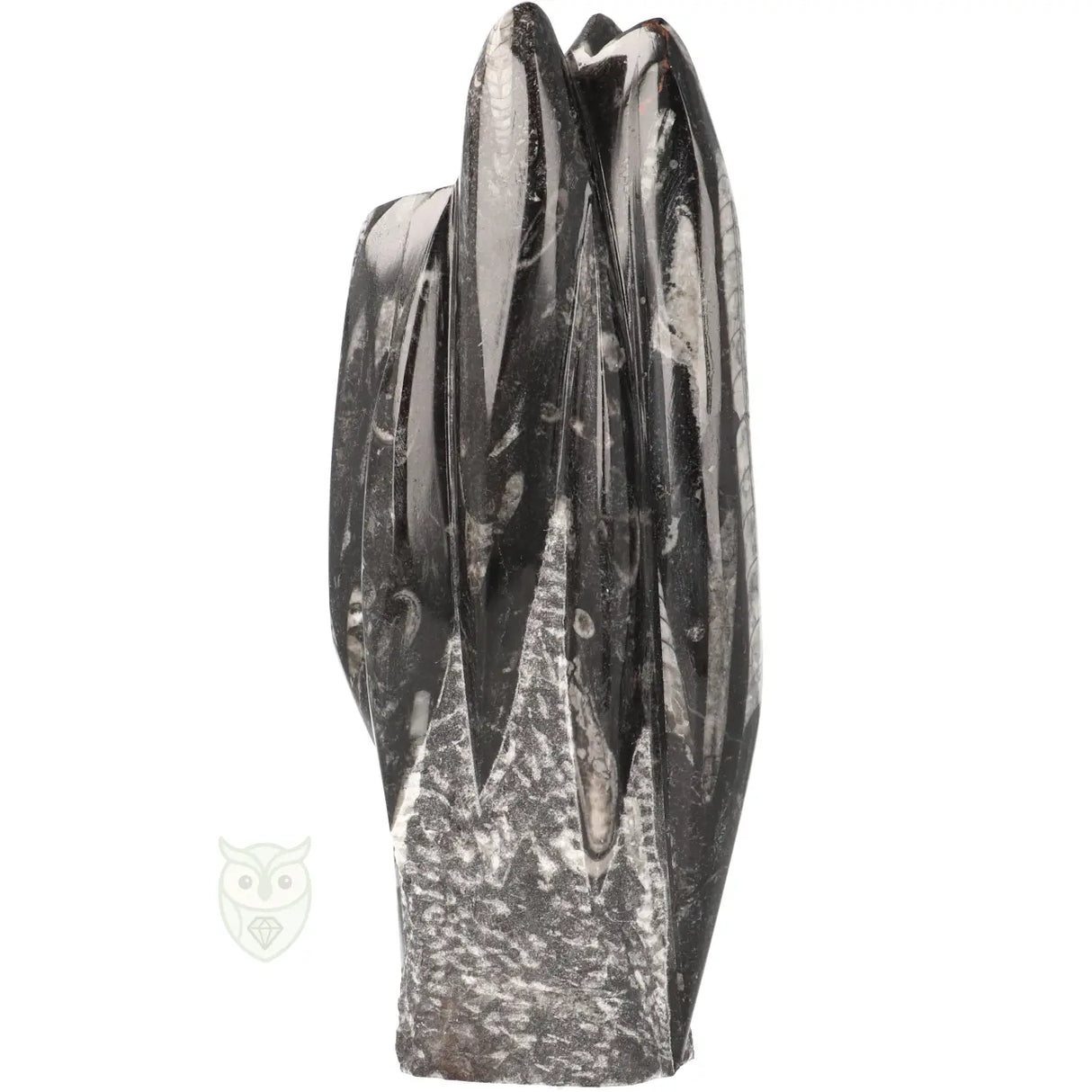 Orthoceras-Skulptur, 1498 Gramm