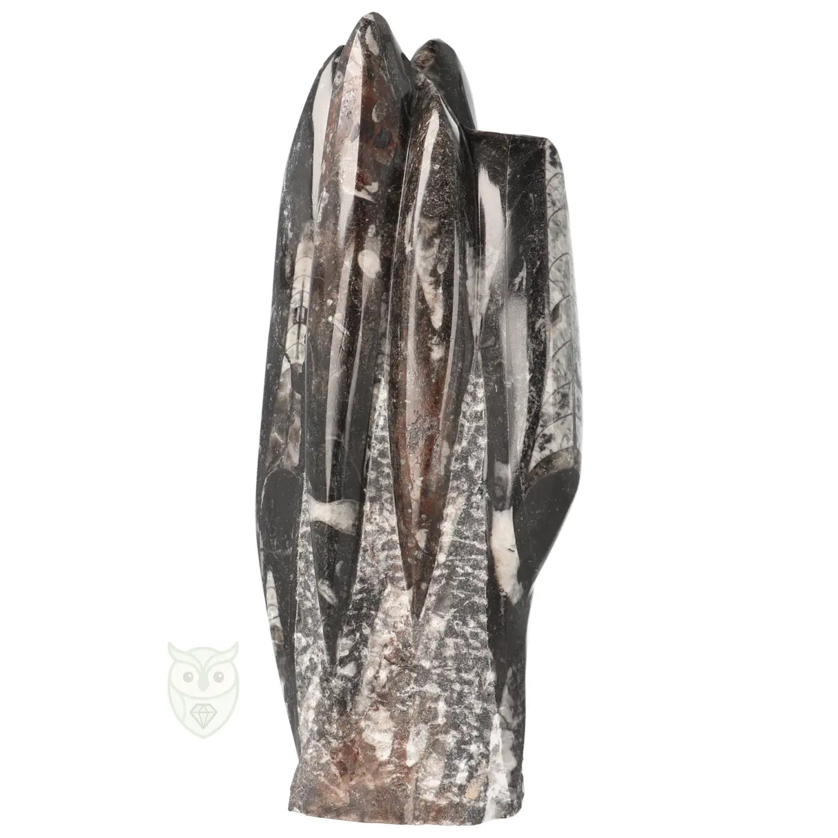 Orthoceras-Skulptur, 1498 Gramm