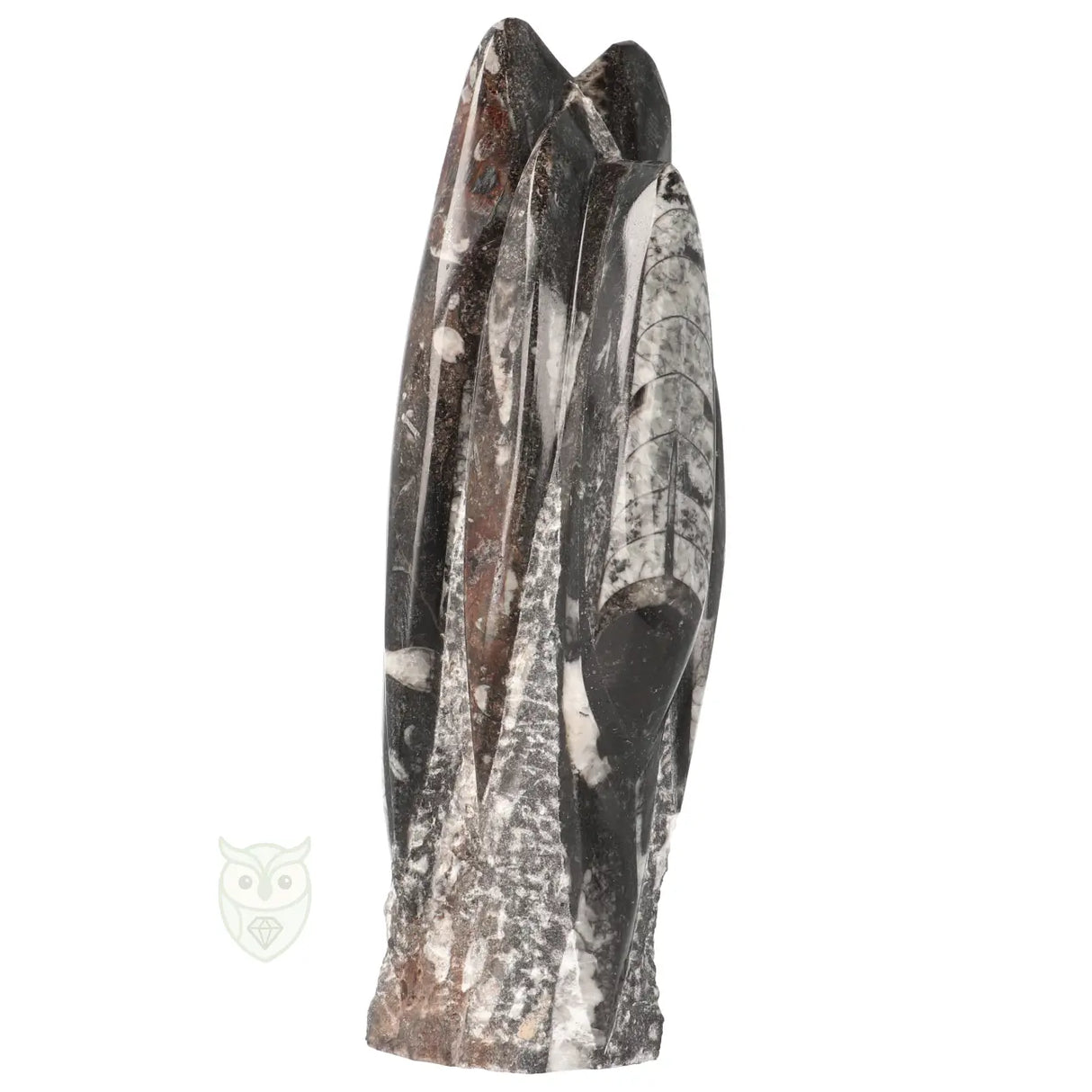 Orthoceras-Skulptur, 1498 Gramm