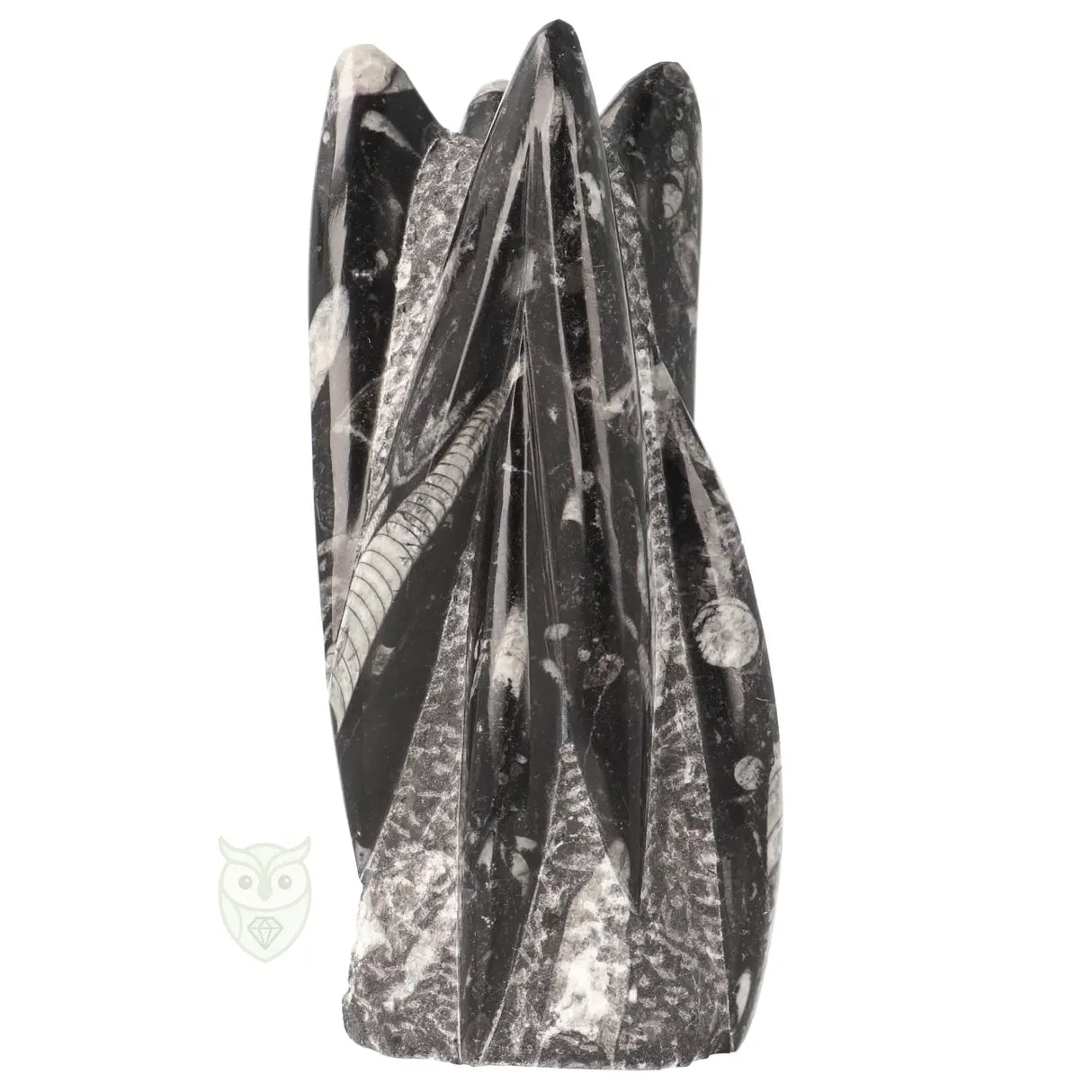 Orthoceras sculptuur nr. 41 - 1607 gram | Fossiel decoratie steen