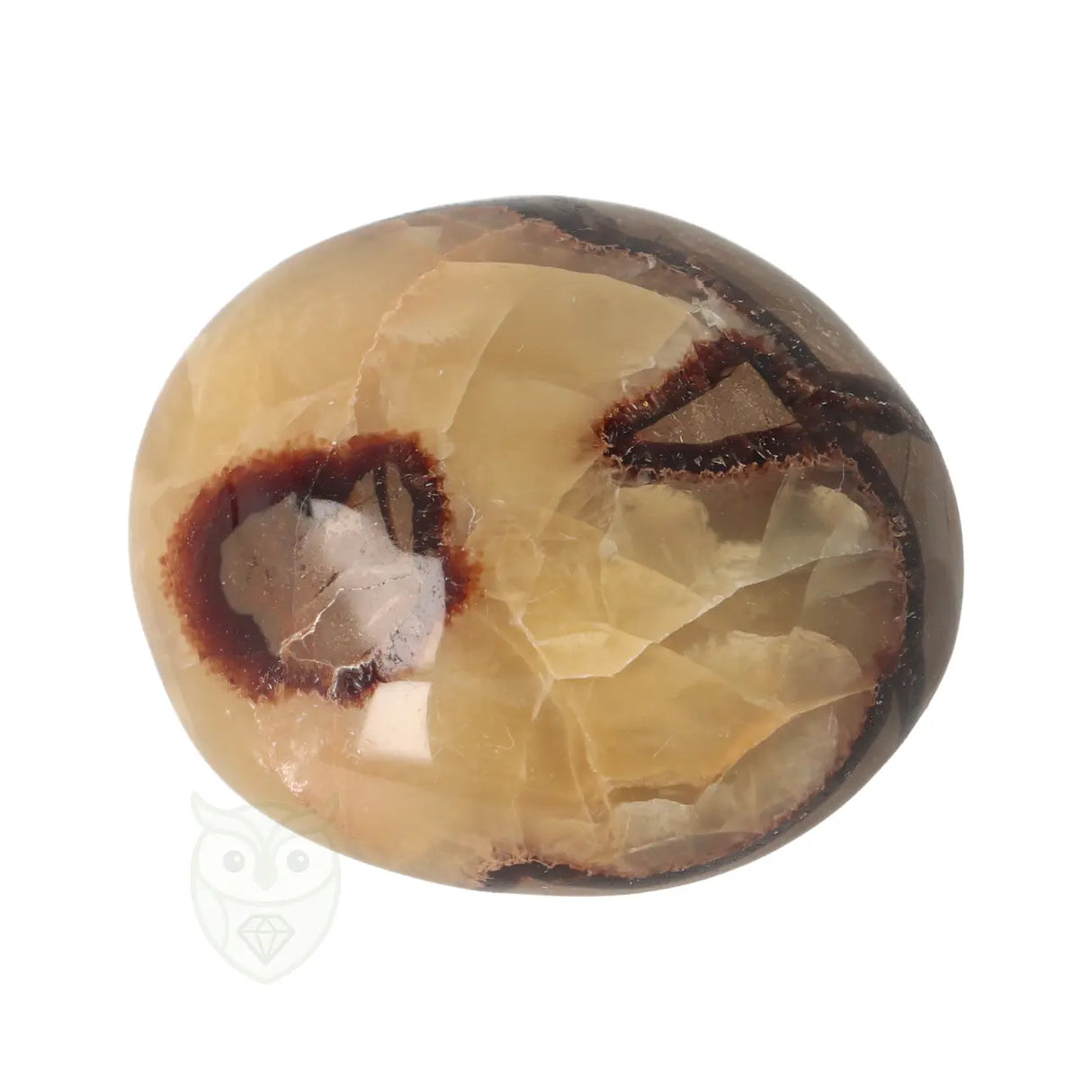 Septarie handsteen Groot nr 30