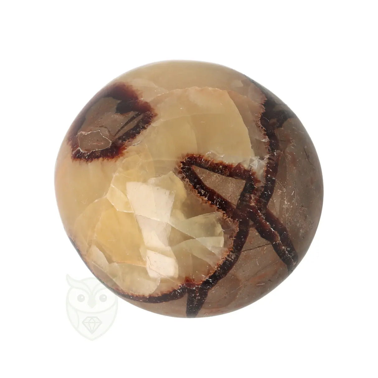 Septarie handsteen Groot nr 30