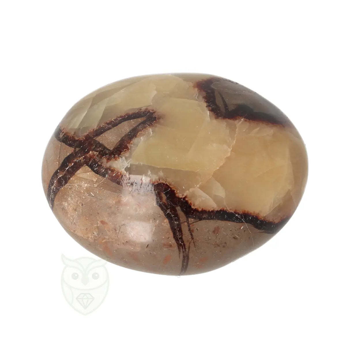 Septarie handsteen Groot nr 30