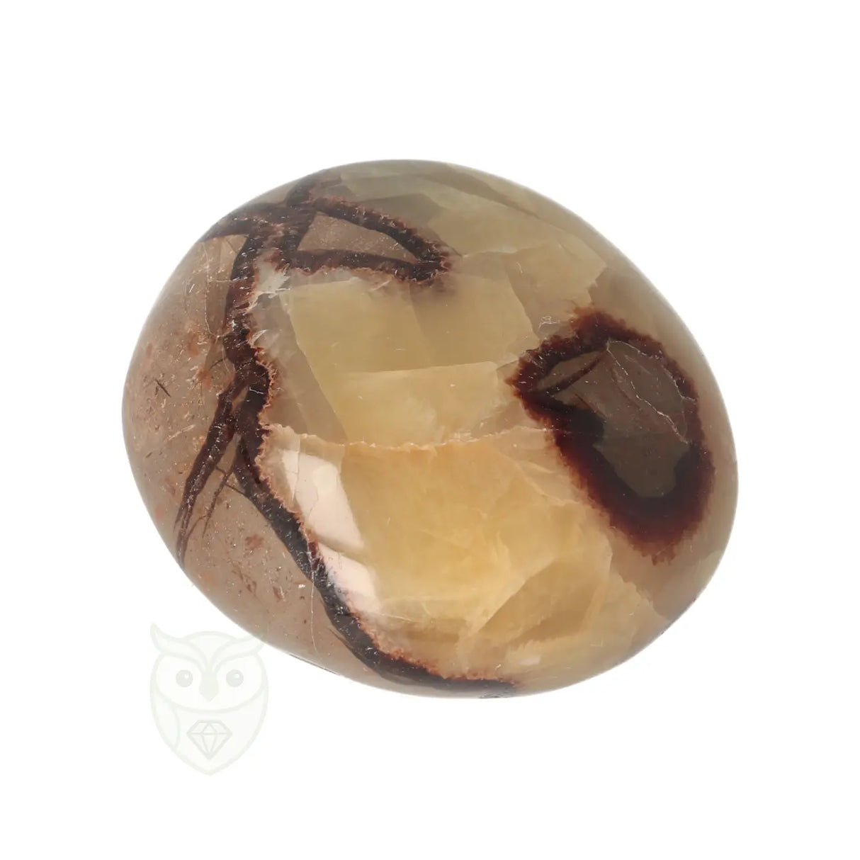 Septarie handsteen Groot nr 30