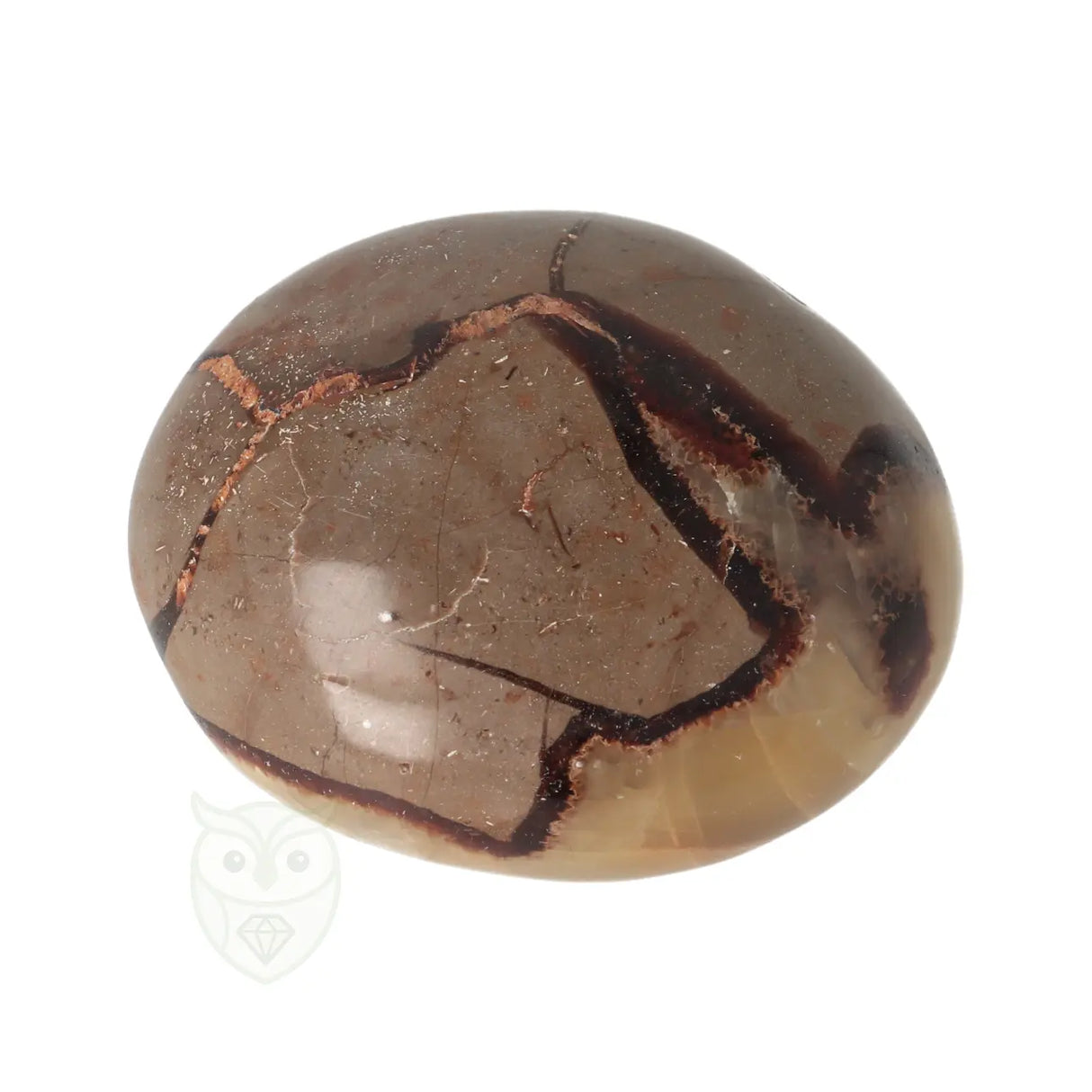 Septarie handsteen Groot nr 30