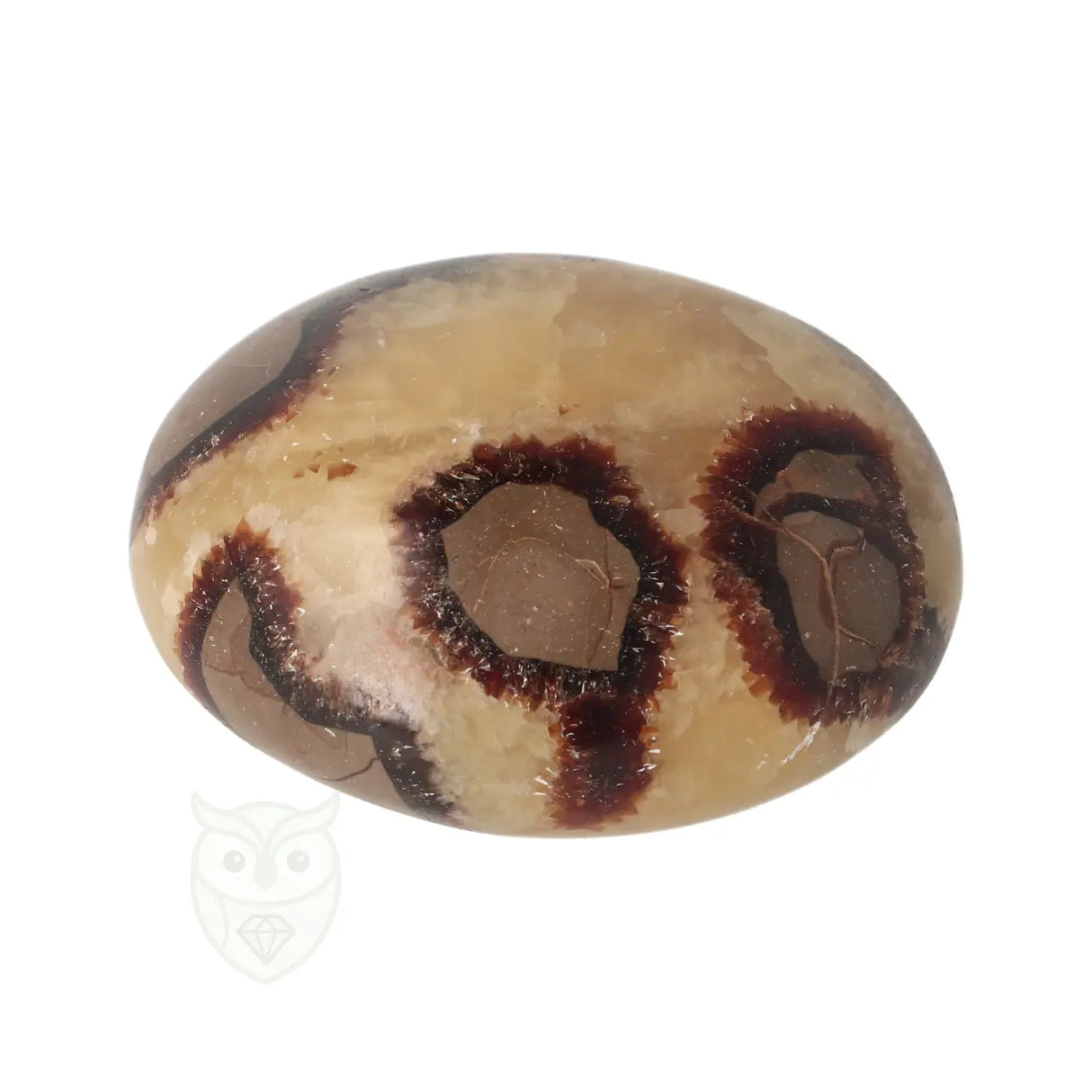 Septarie handsteen nr. 32 - 116 gram - Madagaskar | Edelsteen