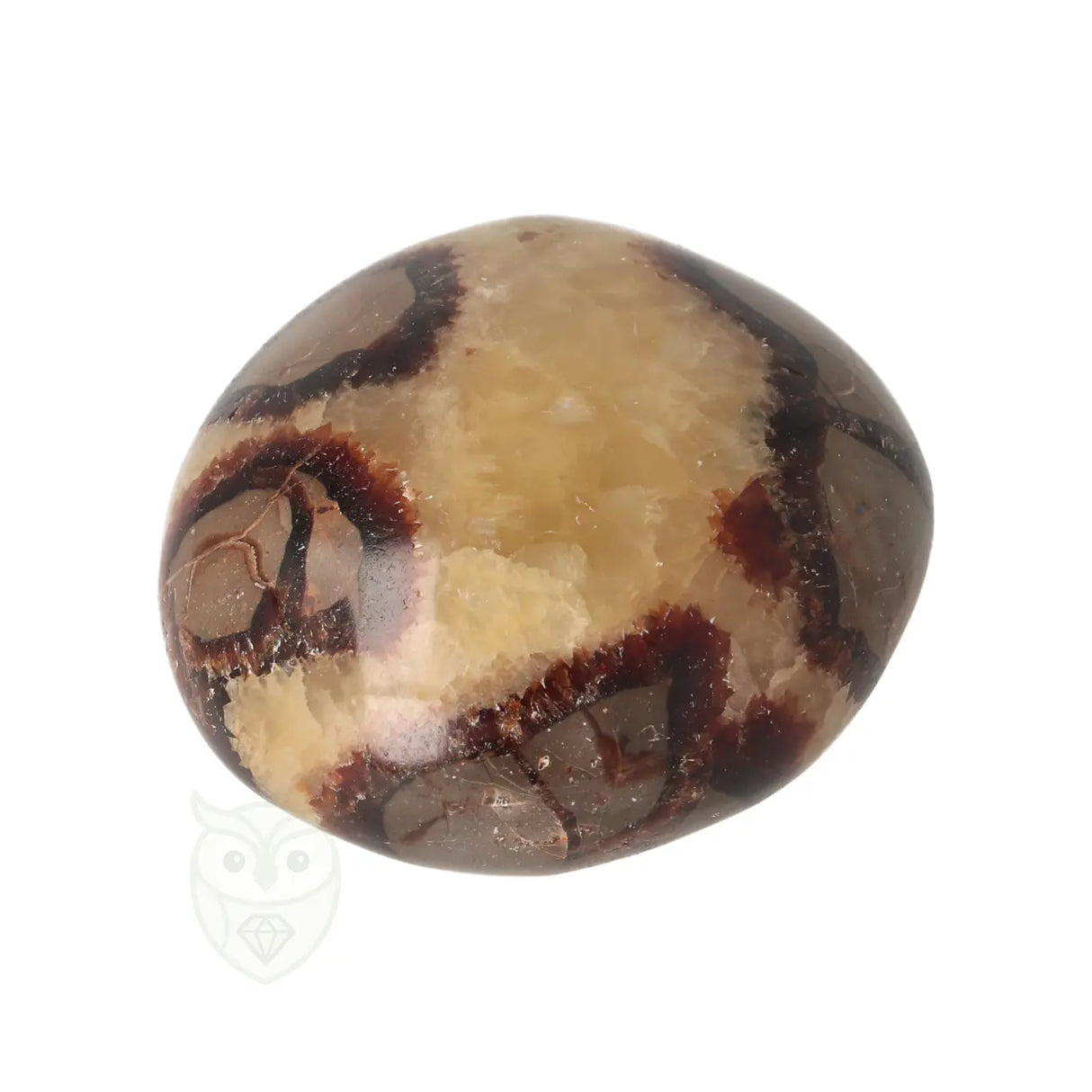 Septarie handsteen nr. 32 - 116 gram - Madagaskar | Edelsteen