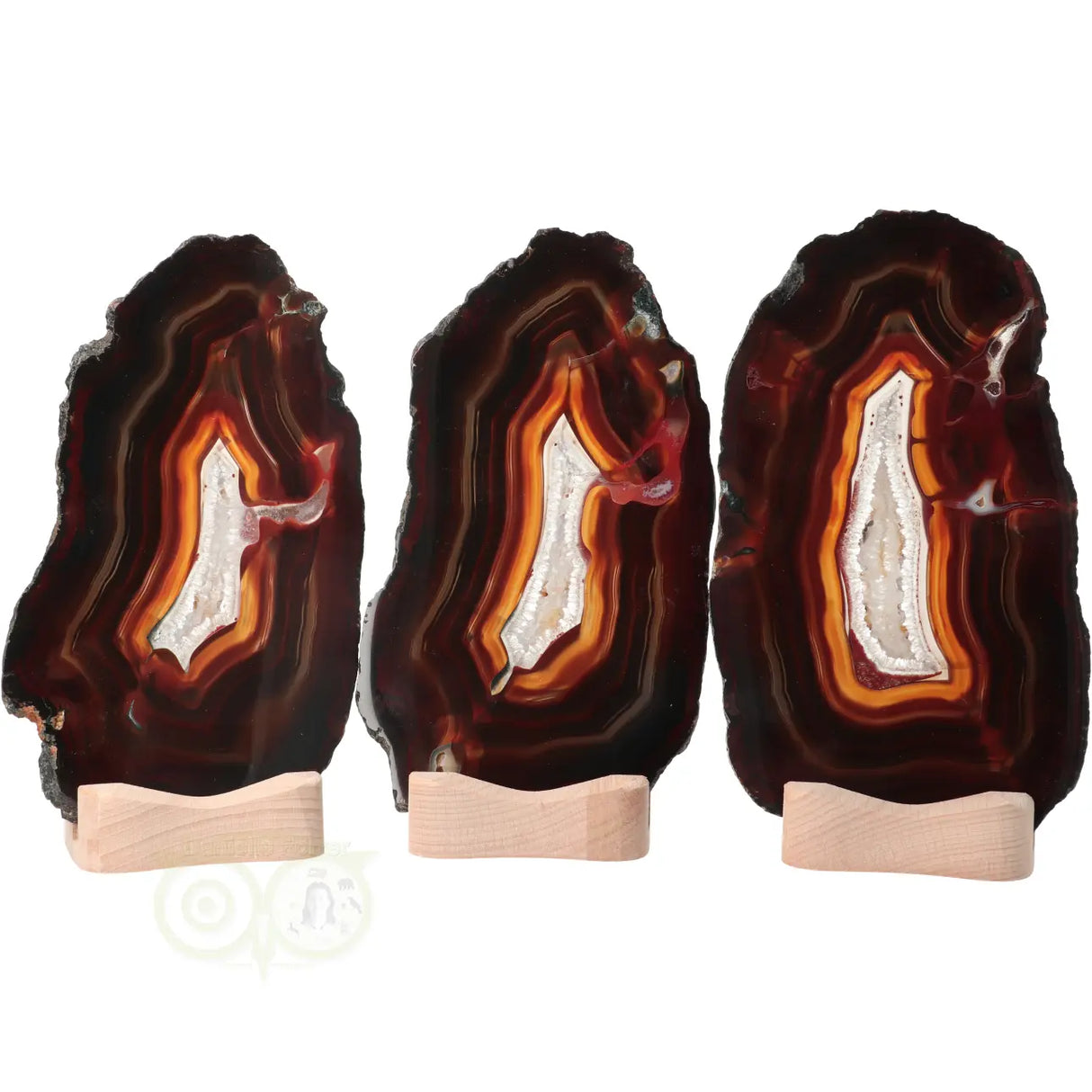 Agate Slices Set No. 55 - 648 grams