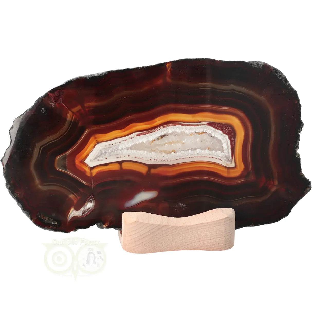 Agate Slices Set No. 55 - 648 grams