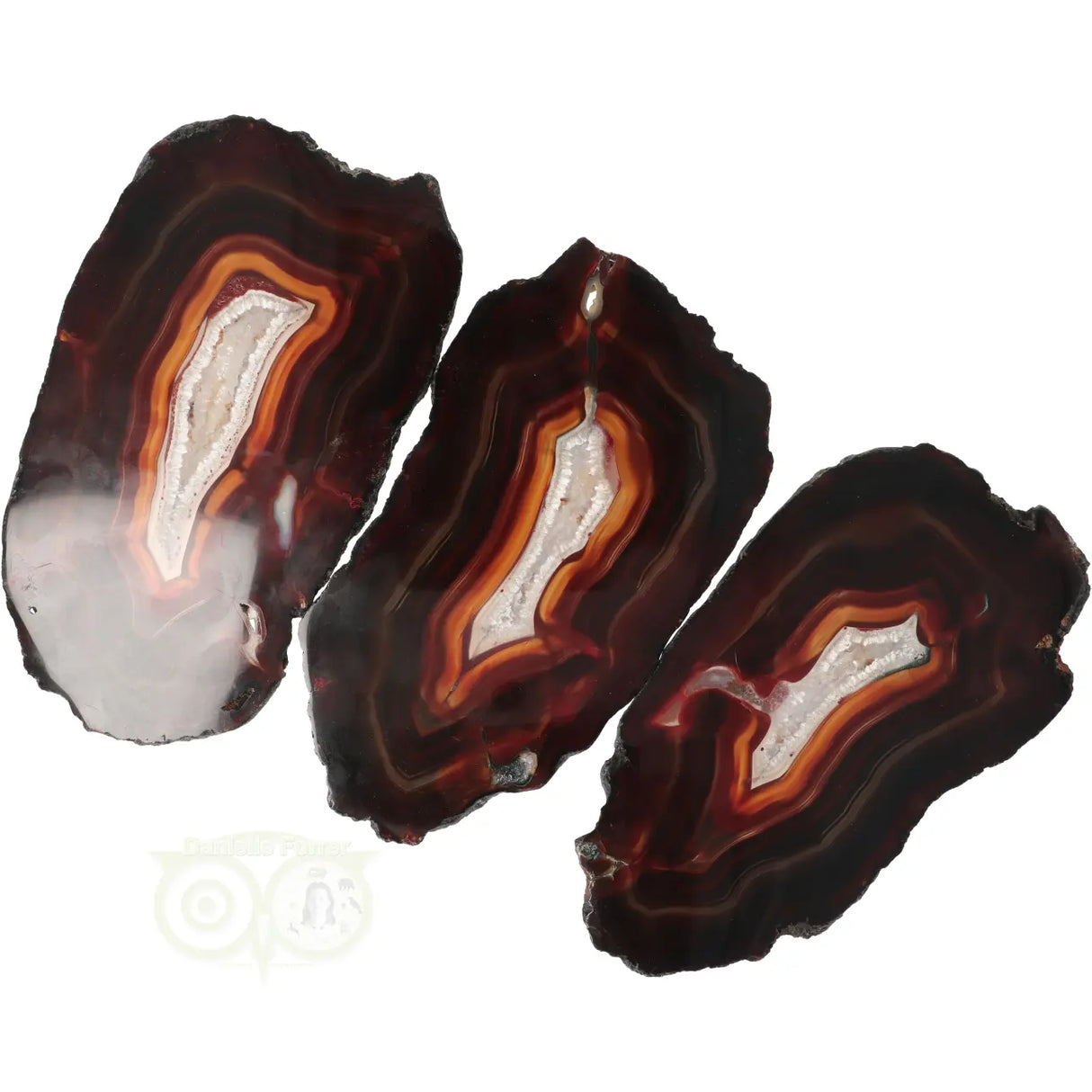 Agate Slices Set No. 55 - 648 grams