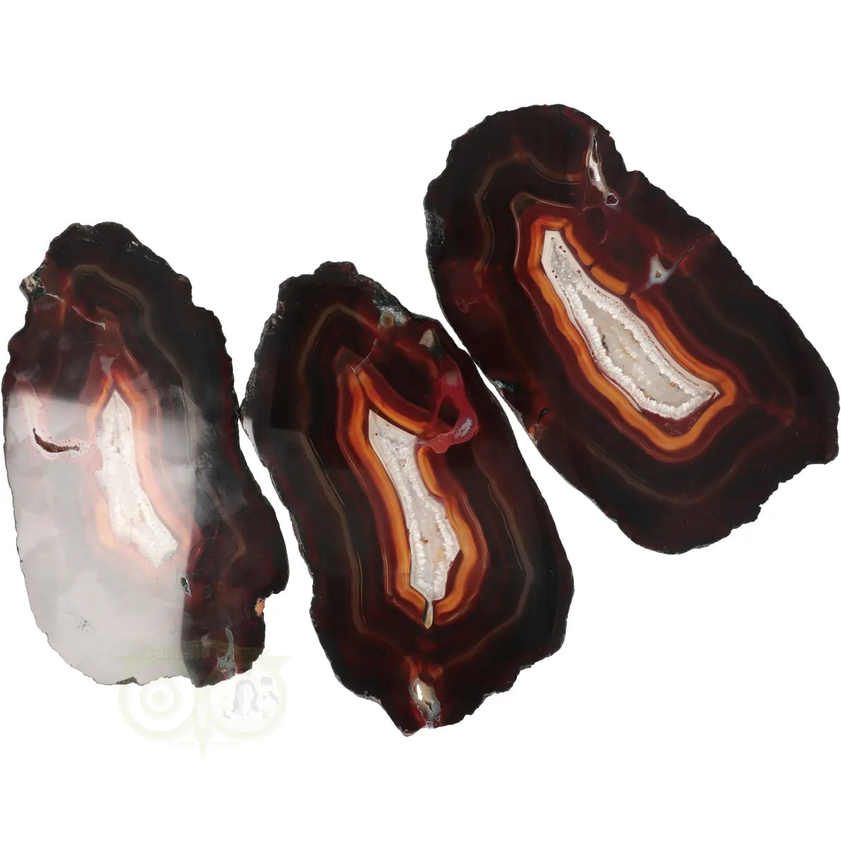 Agate Slices Set No. 55 - 648 grams