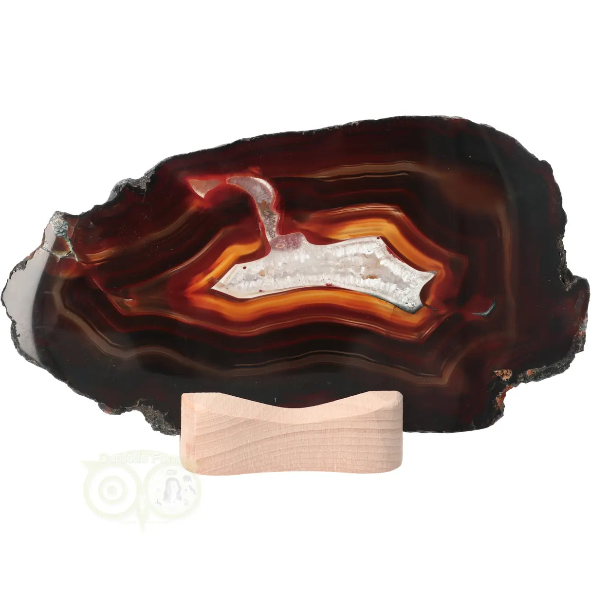 Agate Slices Set No. 55 - 648 grams