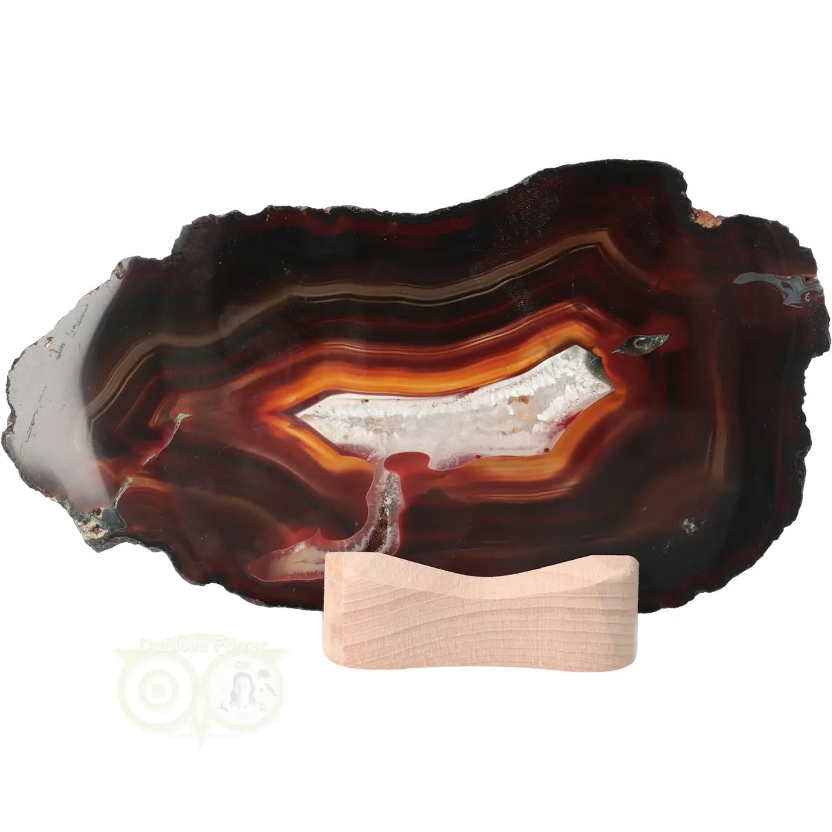 Agate Slices Set No. 55 - 648 grams
