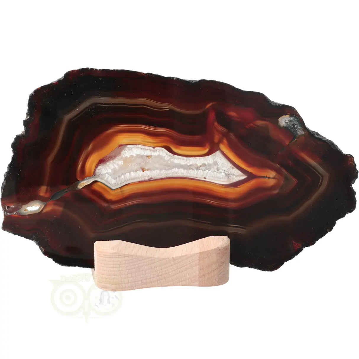 Agate Slices Set No. 55 - 648 grams
