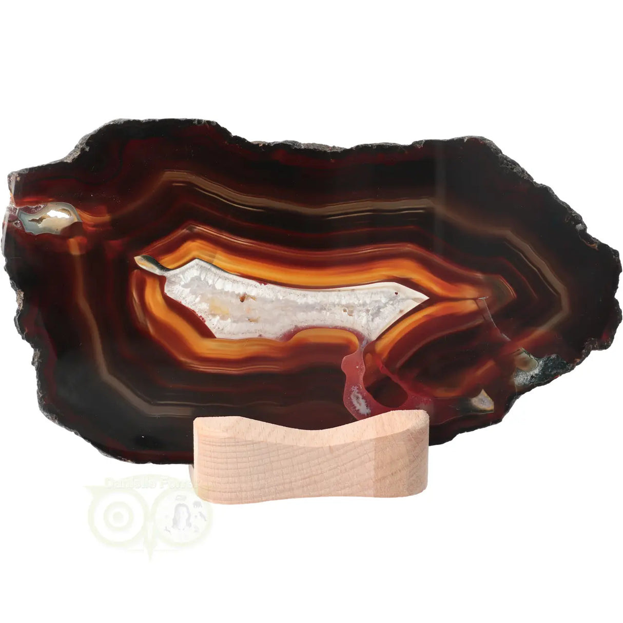 Agate Slices Set No. 55 - 648 grams