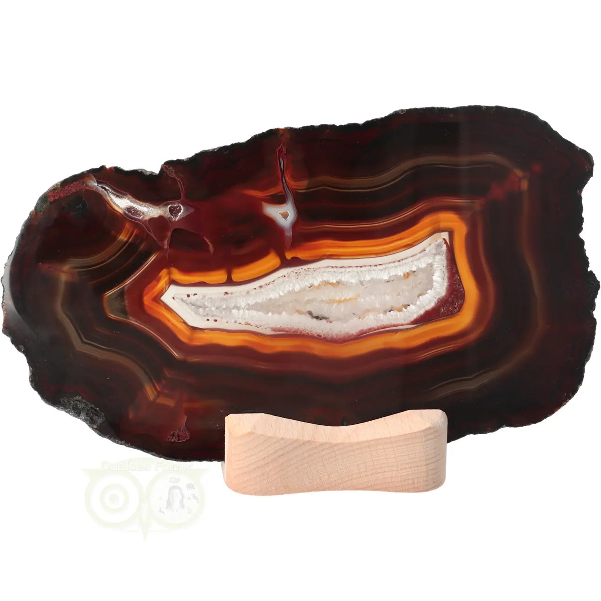 Agate Slices Set No. 55 - 648 grams