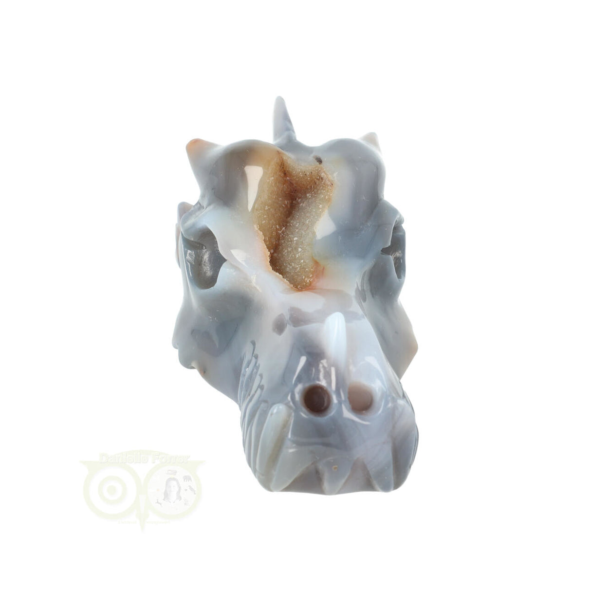 Agaat Chalcedoon Geode Drakenschedel 360 gram