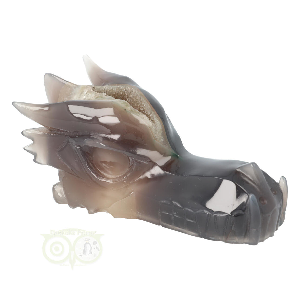 Unieke agaat chalcedoon geode draken schedel 618 gram