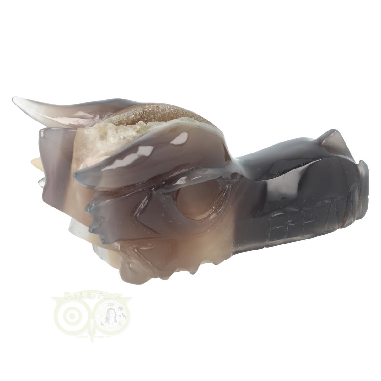 Unieke agaat chalcedoon geode draken schedel 618 gram