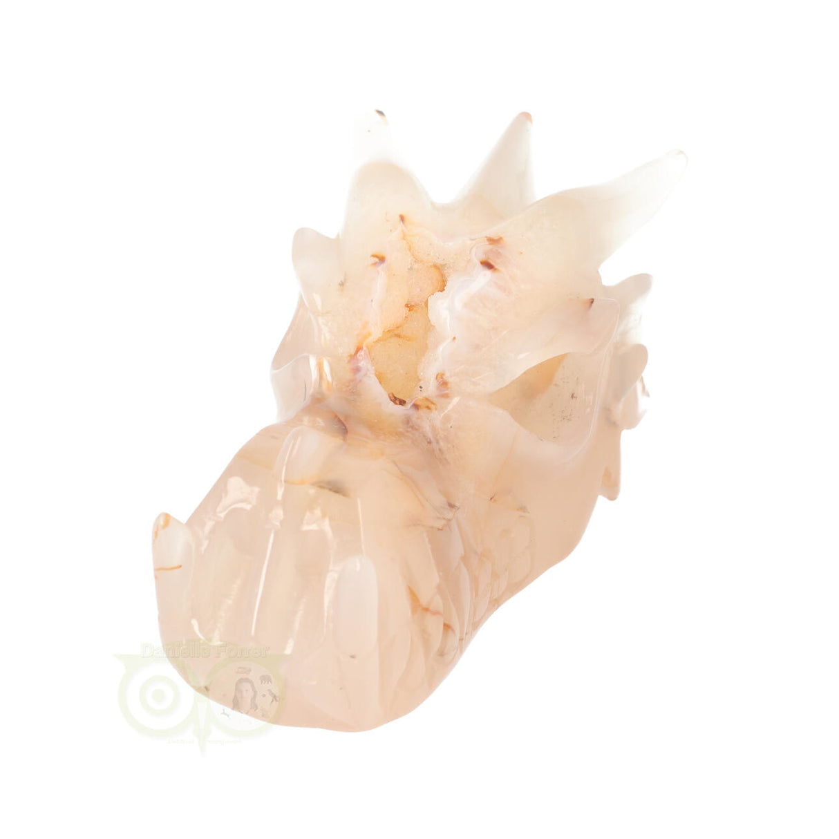 Agaat Drakenschedel 398 gram