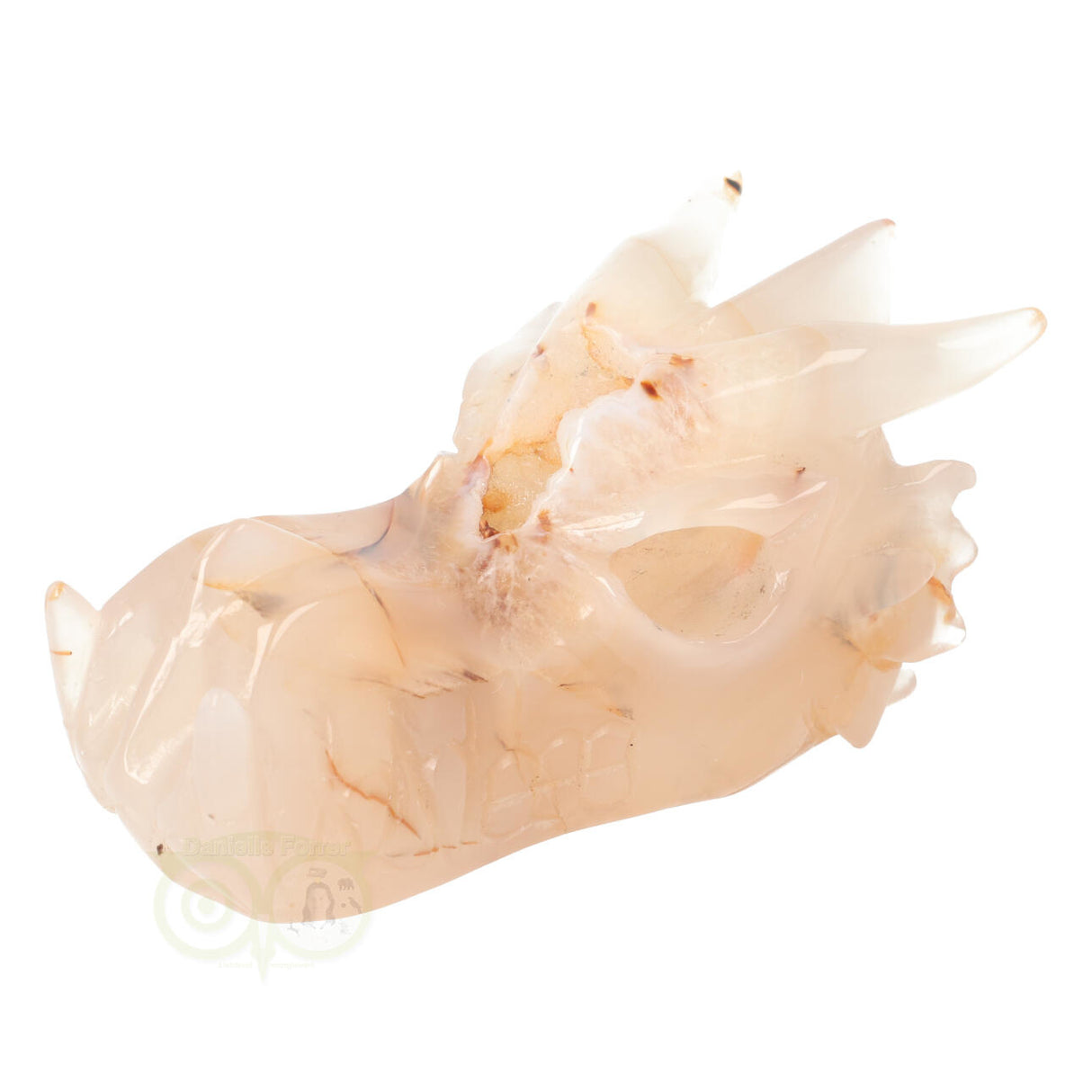 Agaat Drakenschedel 398 gram