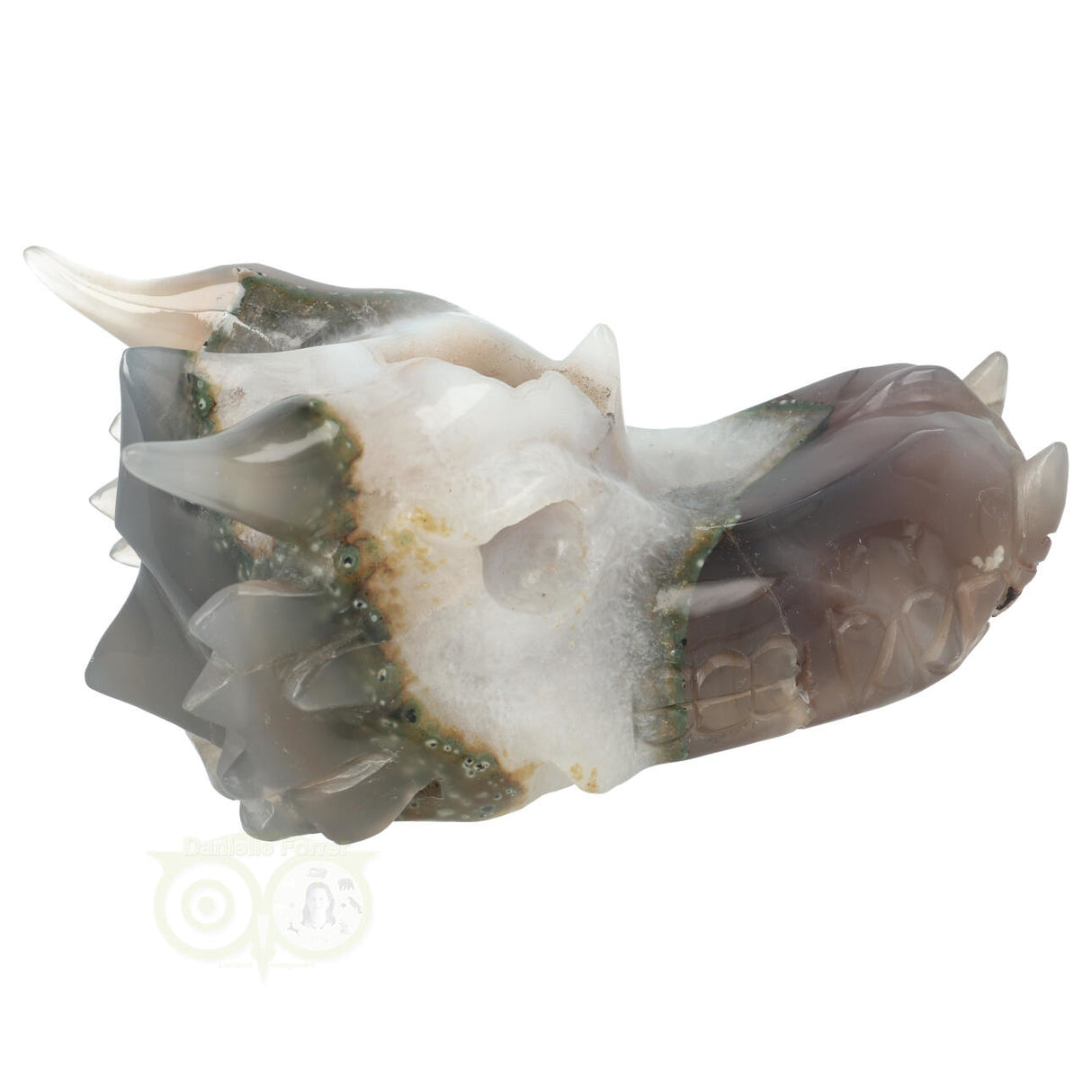 Agaat geode draken schedel 517 gram