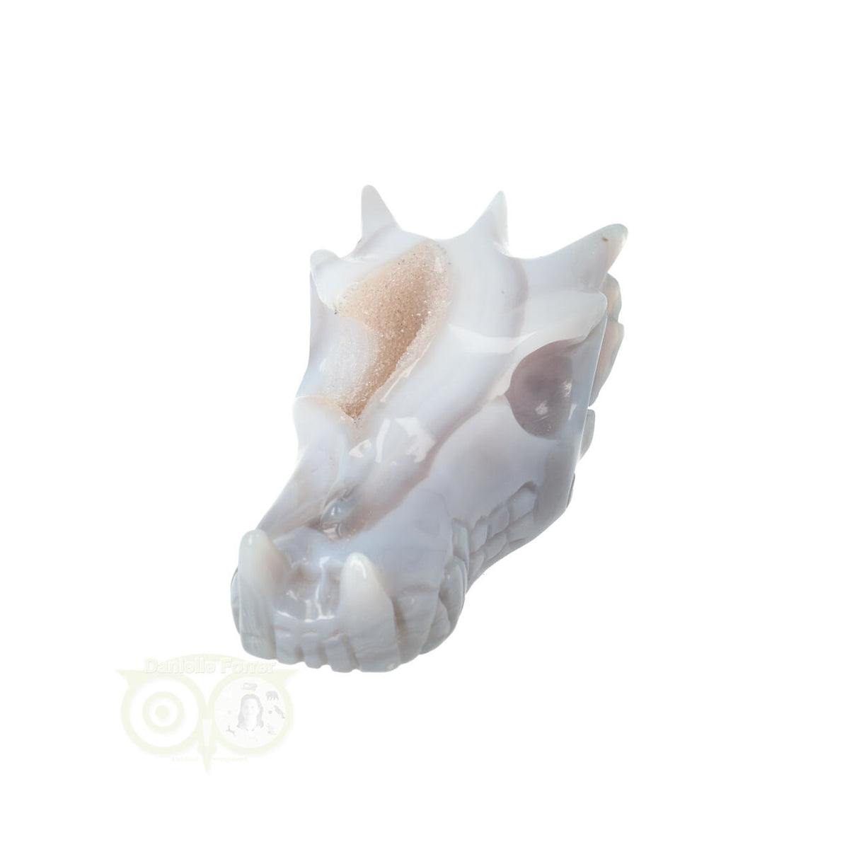 Agaat geode schedel draak 157 gram edelsteen