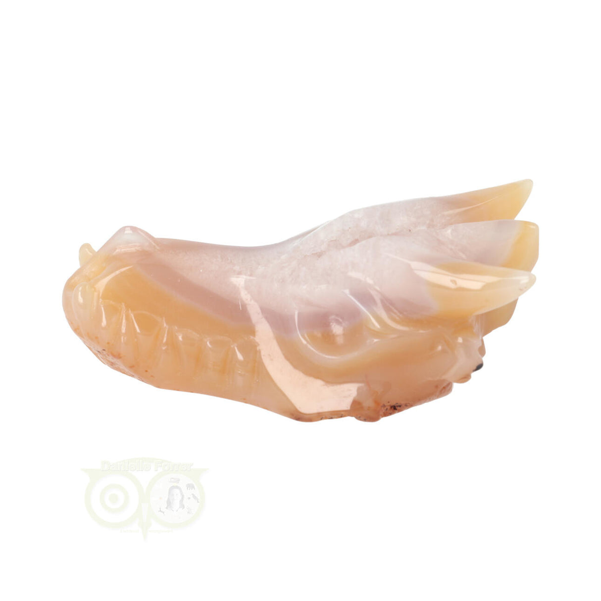 Agate Geode Dragon Skull 218 grams