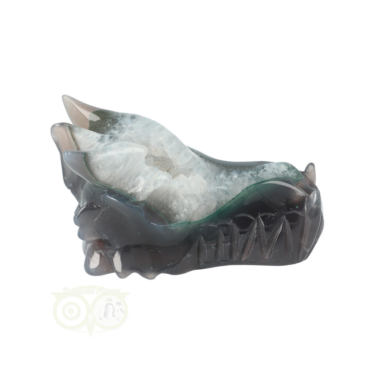 Agaat geode draken schedel 234 gram met natuurlijke tekening