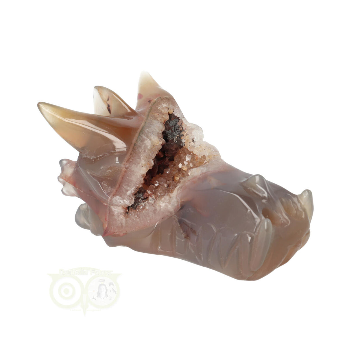 Agate Geode Dragon Skull 286 grams