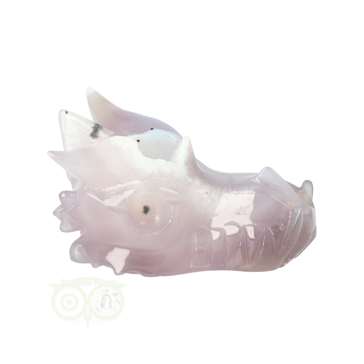 Agaat geode draken schedel 311 gram met natuurlijke tekening