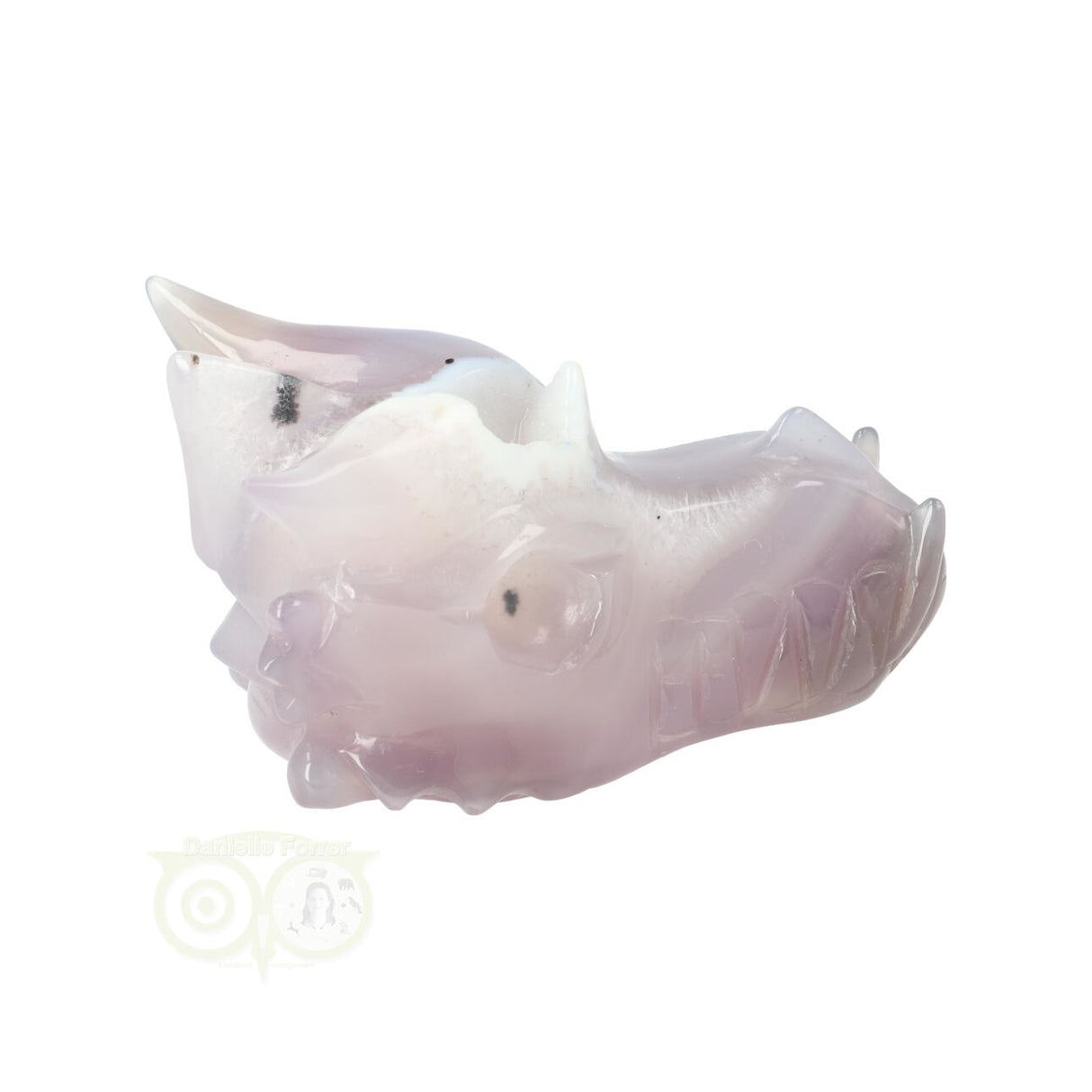 Agaat Geode Drakenschedel 311 gram