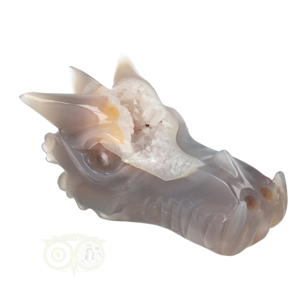 Agaat geode drakenschedel 331 gram | Edelstenen Draak