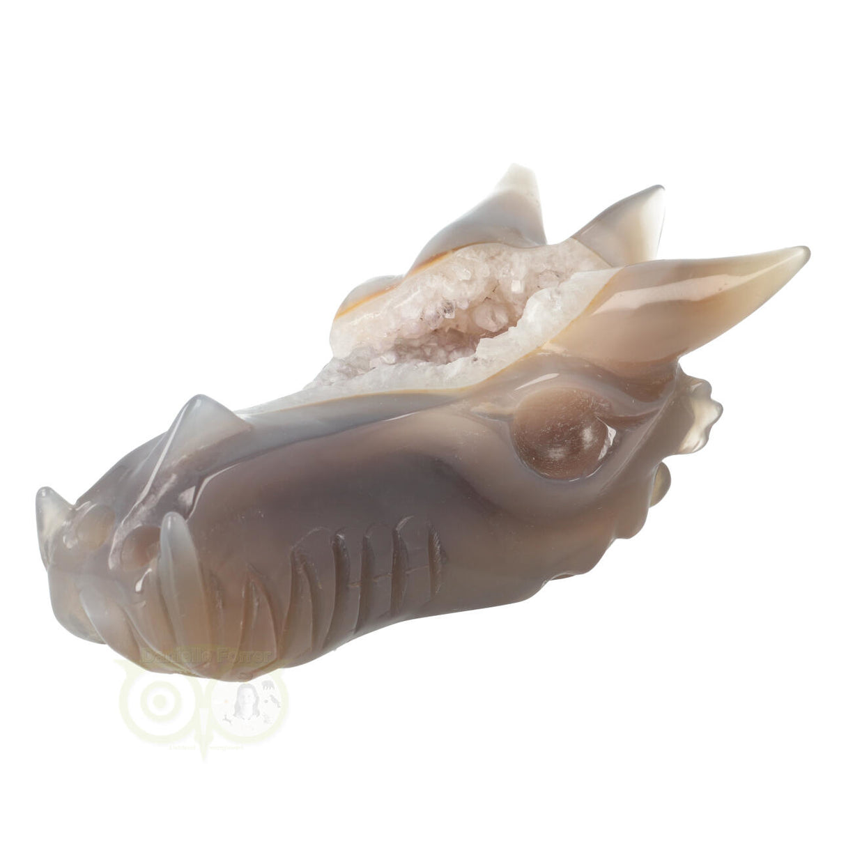 Agaat Geode Drakenschedel 331 gram