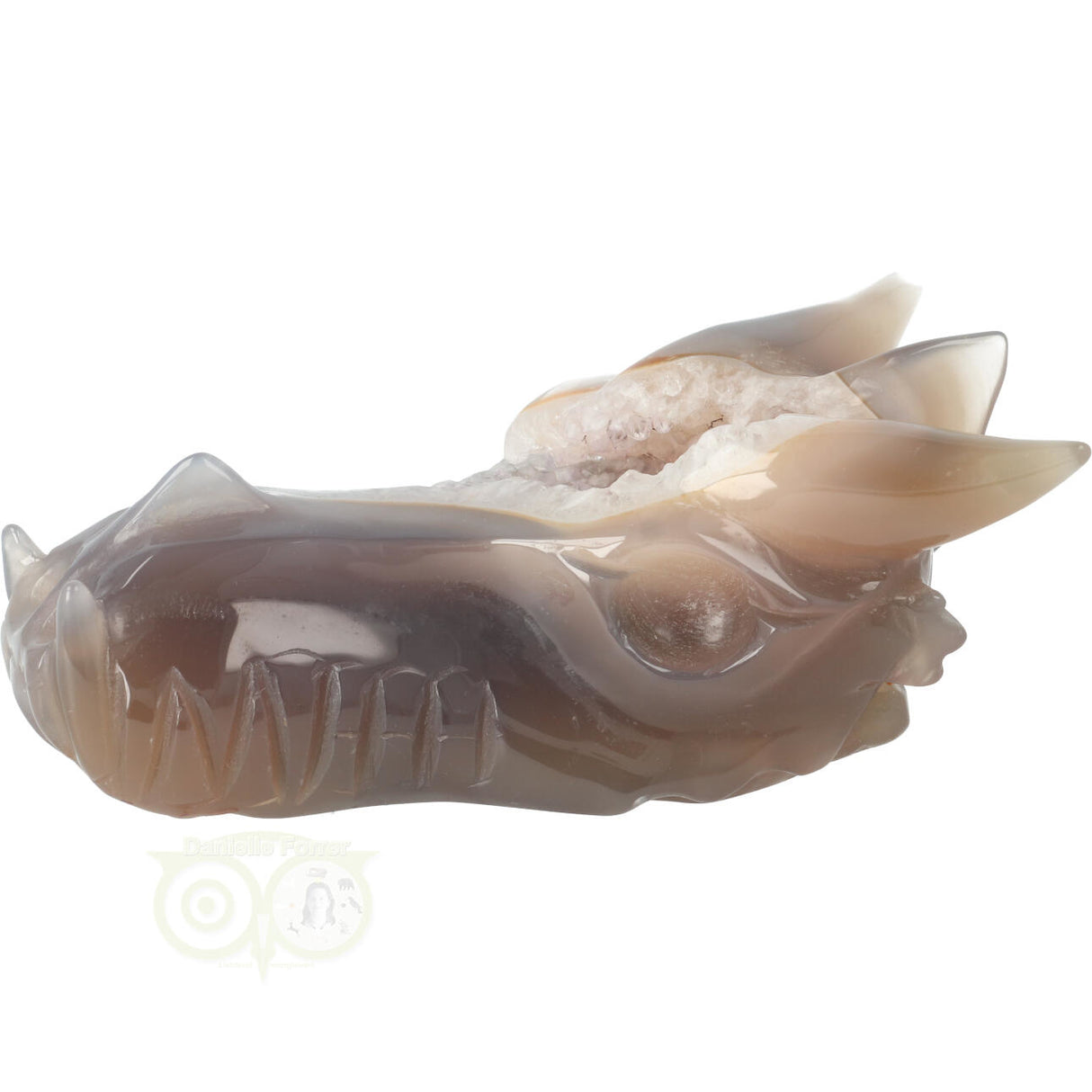 Agaat Geode Drakenschedel 331 gram