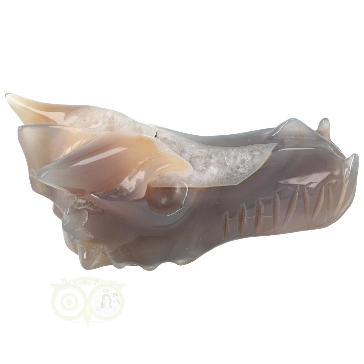 Agaat Geode Drakenschedel 331 gram