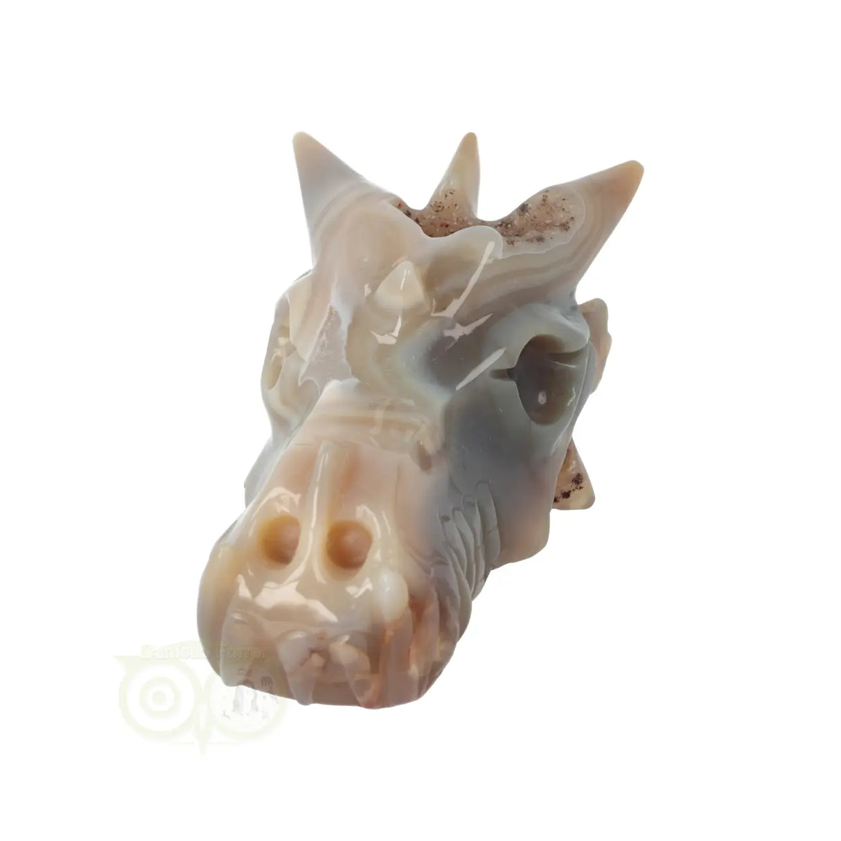 Agaat Geode Drakenschedel 477 gram