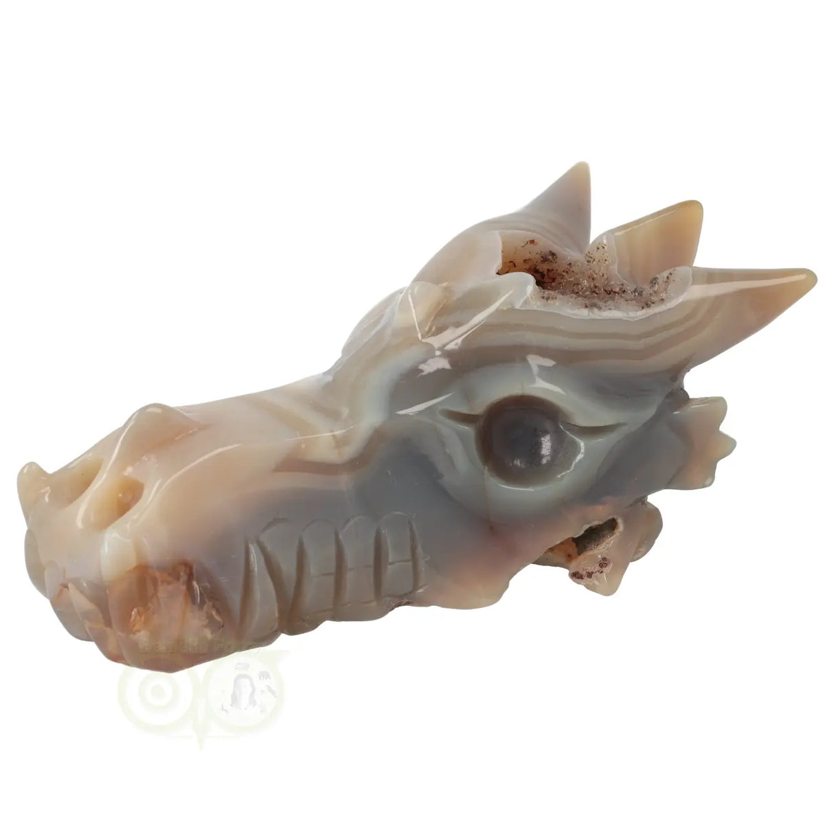 Agaat Geode Drakenschedel 477 gram