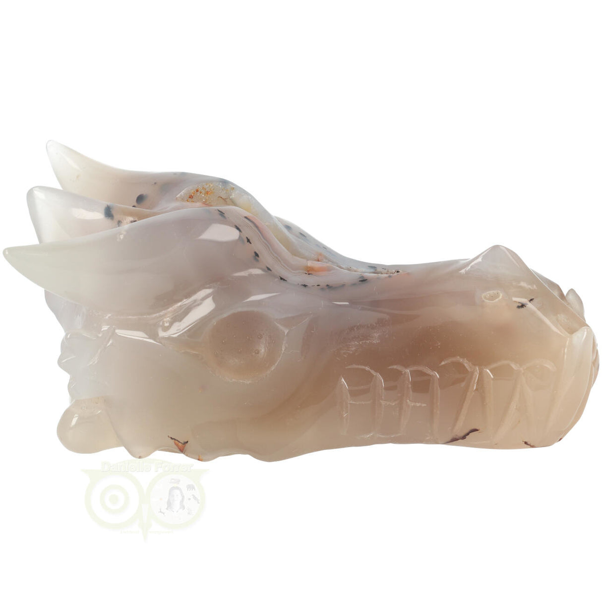 Agaat Geode Drakenschedel 493 gram