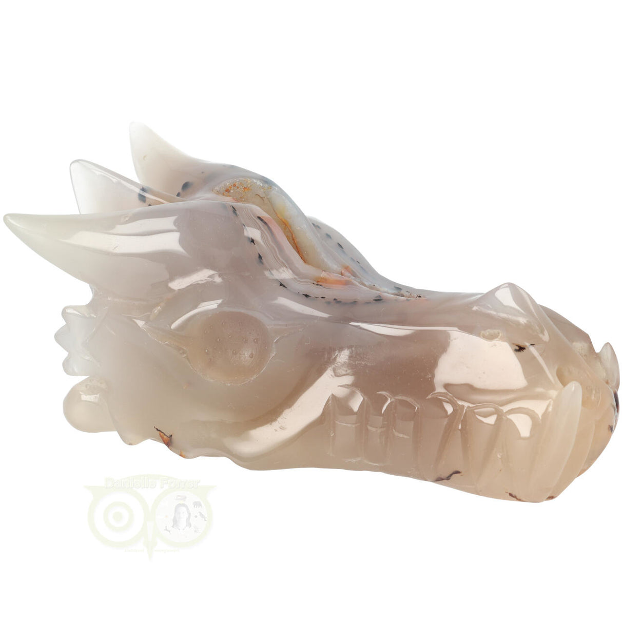 Agaat Geode Drakenschedel 493 gram