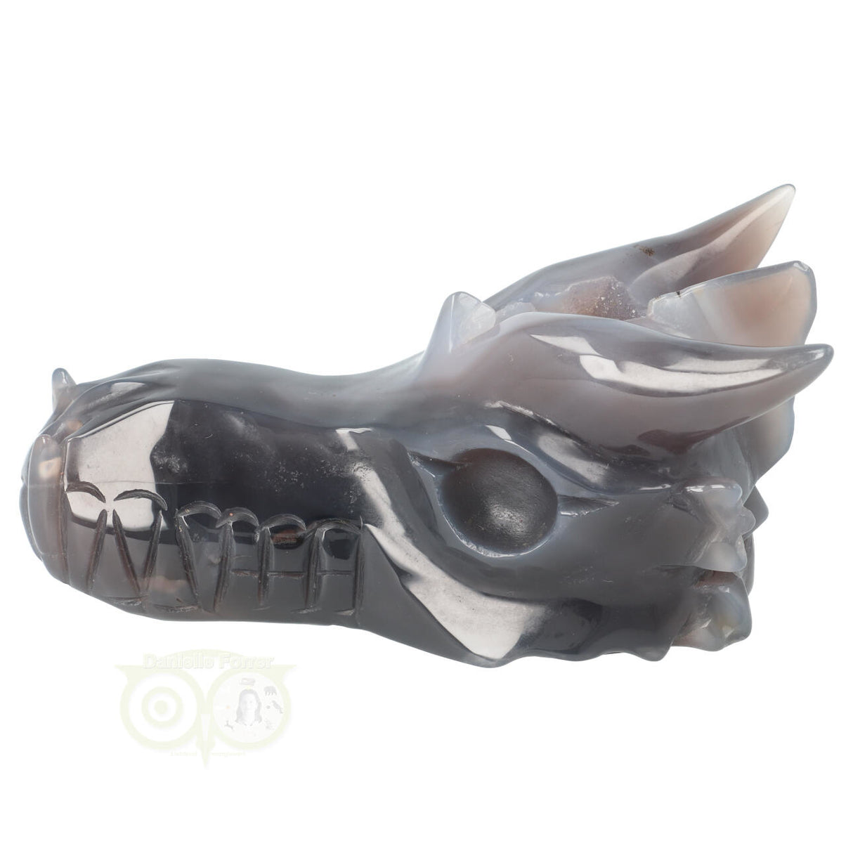 Agaat Geode Drakenschedel 589 gram